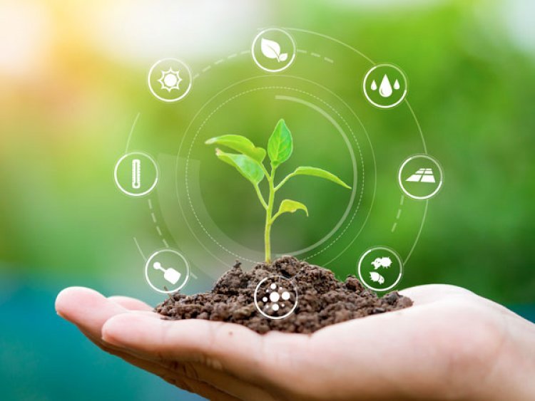 Sustainability at Abhipraj Exports