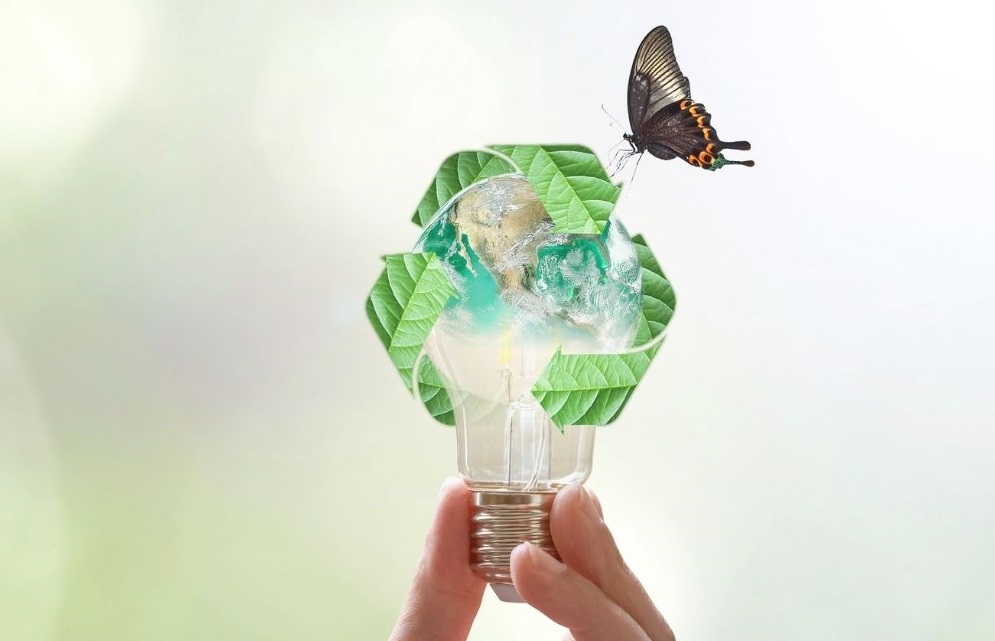 Sustainability at Abhipraj Exports